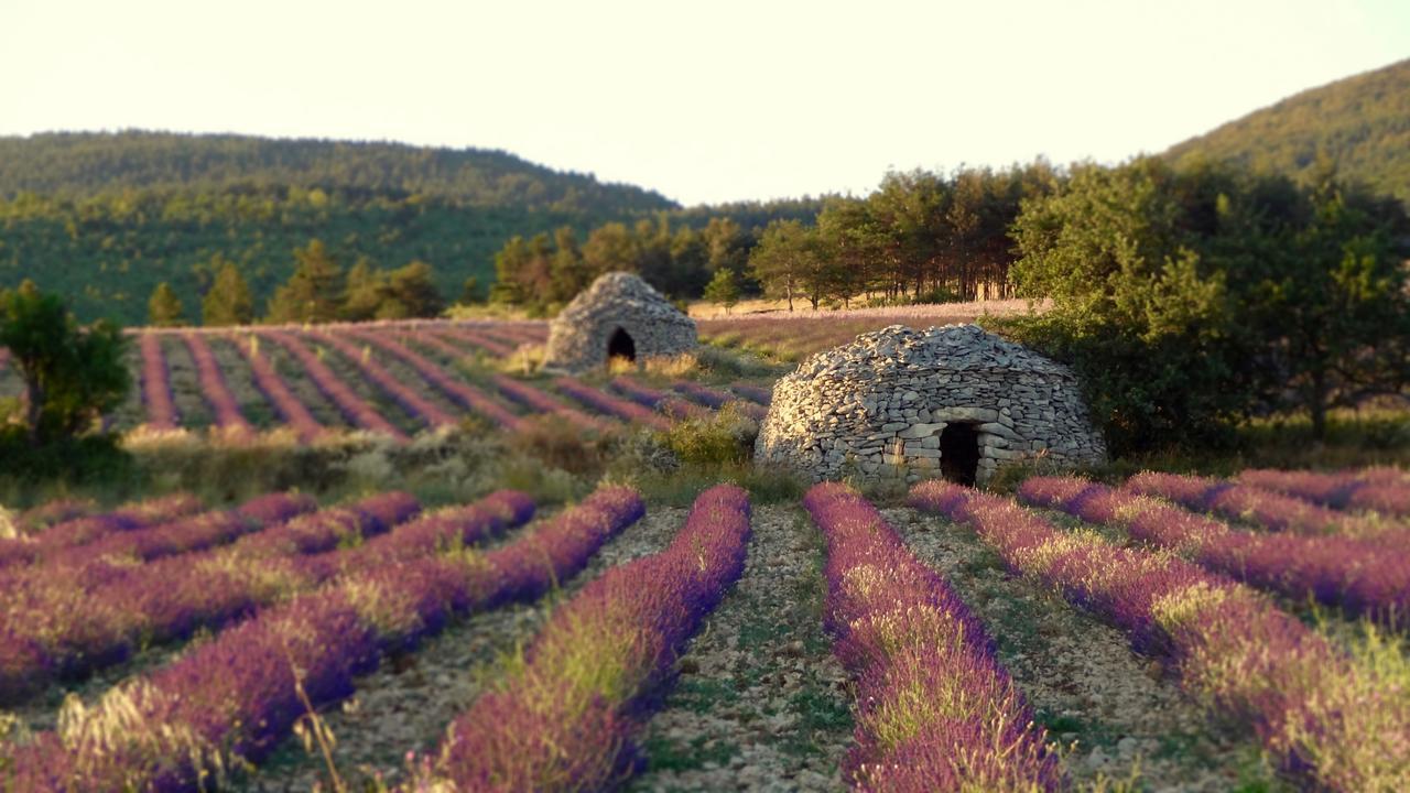 Chateau Ferrassieres エクステリア 写真